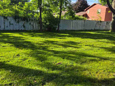 Lawn Care service in Sheffield Lake, 44054