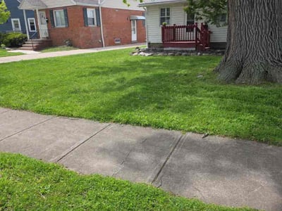 Lawn Care service in Willoughby, 44094