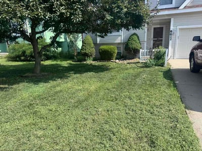 Lawn Care service in Longmont, 80501
