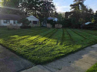 Lawn Care service in Wickliffe, 44092
