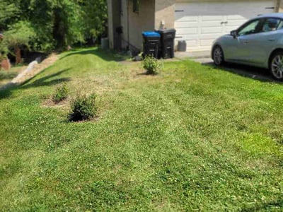 Lawn Care service in Kittanning, 16201