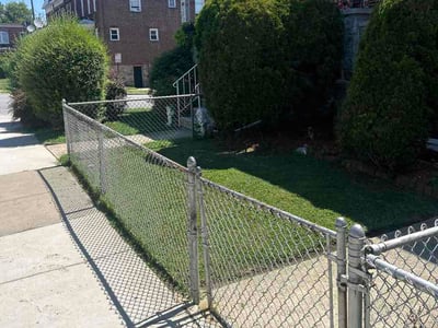Lawn Care service in Lutherville Timonium, 21093