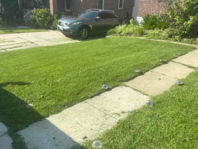 Lawn Care service in Hampstead, 21074