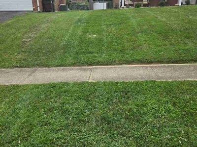 Lawn Care service in Amelia, 45102