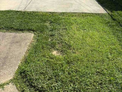 Lawn Care service in Dundalk, 21222