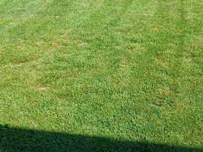 Lawn Care service in Dundalk, 21222