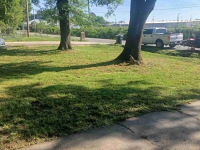 Lawn Care service in Escondido, 92025