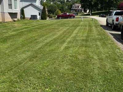 Lawn Care service in Greensburg, 15601