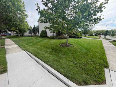 Lawn Care service in Greensburg, 15601
