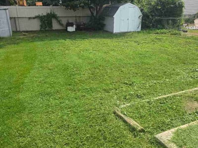 Lawn Care service in Glen Burnie, 21061