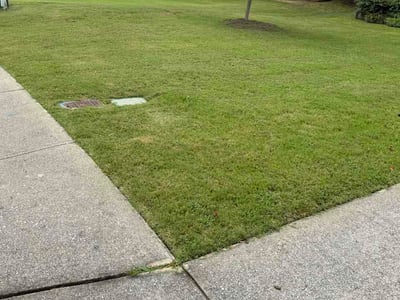 Lawn Care service in Grayson, 30017