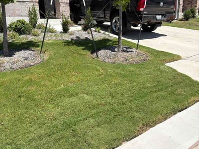 Lawn Care service in Brownsville, 78520