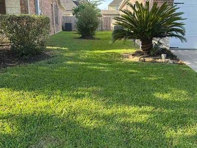 Lawn Care service in Brownsville, 78520