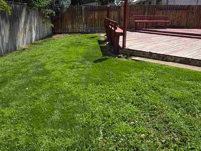 Lawn Care service in Boise, 83702