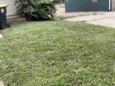 Lawn Care service in Boise, 83702