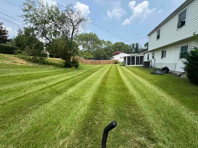 Lawn Care service in Aberdeen, 21001