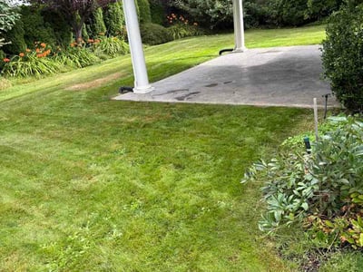 Lawn Care service in Bainbridge Island, 98110