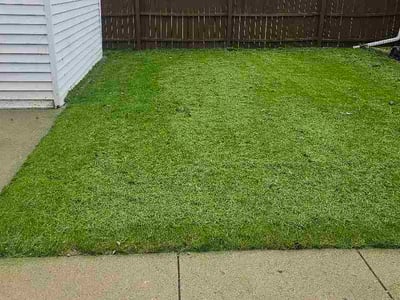 Lawn Care service in Pewaukee, 53072