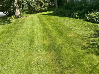 Lawn Care service in Pewaukee, 53072