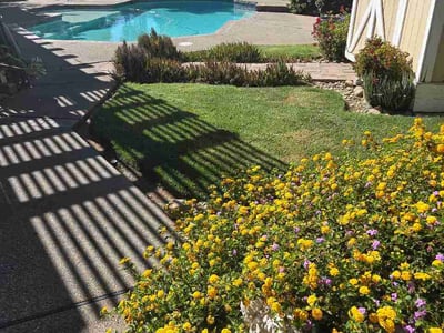 Lawn Care service in Rancho Cordova, 95670
