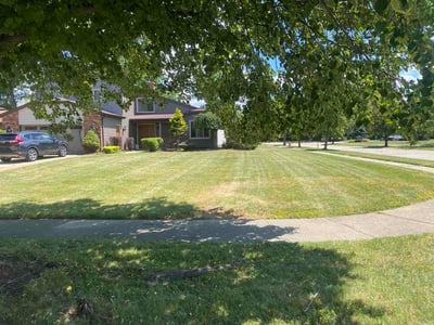 Lawn Care service in North Olmstead, 44070