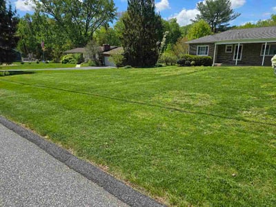 Lawn Care service in Abingdon, 21009