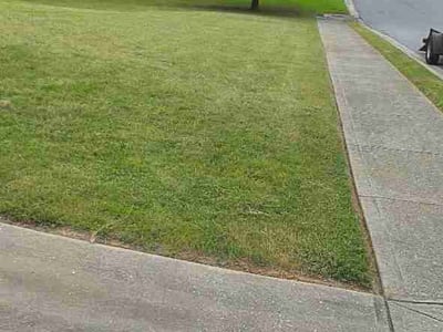 Lawn Care service in Dacula, 30019