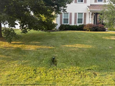 Lawn Care service in Appleton, 54911
