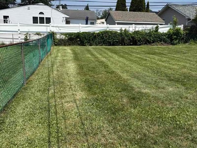 Lawn Care service in Downingtown, 19335