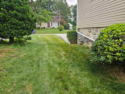 Lawn Care service in Downingtown, 19335