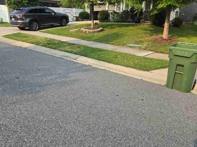 Lawn Care service in Rock Hill, 29730