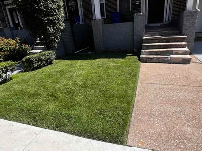 Lawn Care service in Forest Hill, 21050