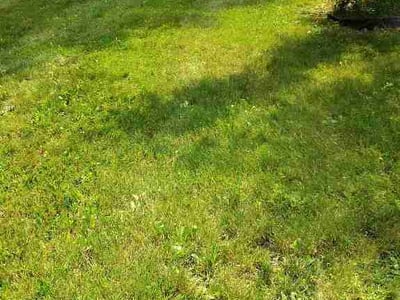 Lawn Care service in Ravenna, 44266
