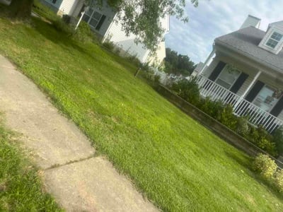 Lawn Care service in Middle River, 21220