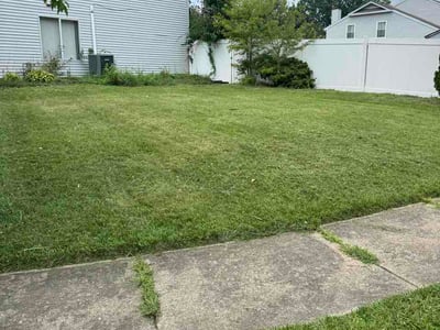 Lawn Care service in New Castle, 19720