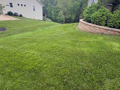 Lawn Care service in Bedford, 44146