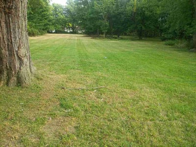 Lawn Care service in Brunswick, 44212