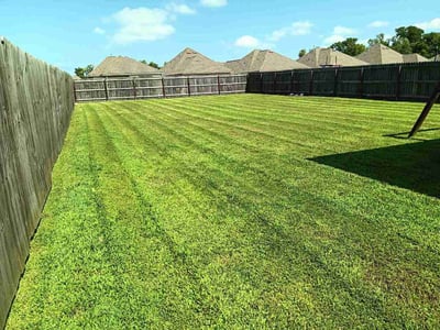 Lawn Care service in Port Allen, 70767