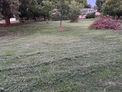 Lawn Care service in Ridgecrest, 93555