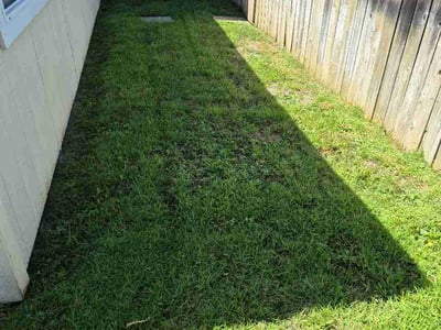 Lawn Care service in Dana Point, 92629