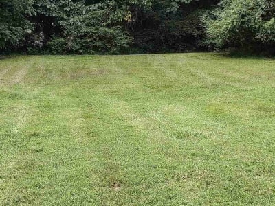 Lawn Care service in Goldsboro, 27530