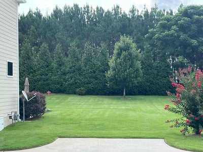 Lawn Care service in Youngsville, 27596