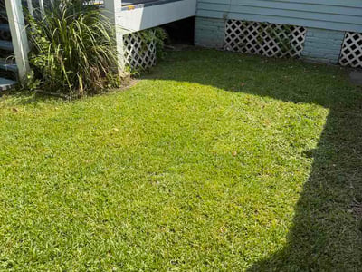 Lawn Care service in Chalmette, 70043