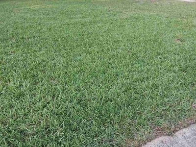 Lawn Care service in Cary, 27513