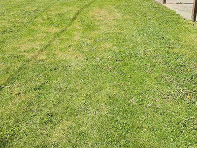 Lawn Care service in Sussex, 53089