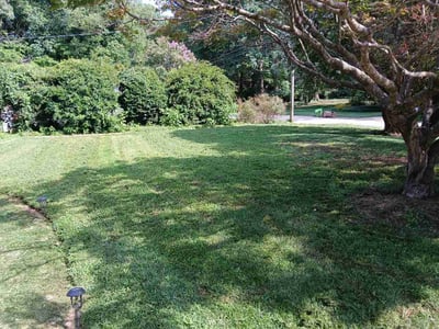 Lawn Care service in Kenly, 27542