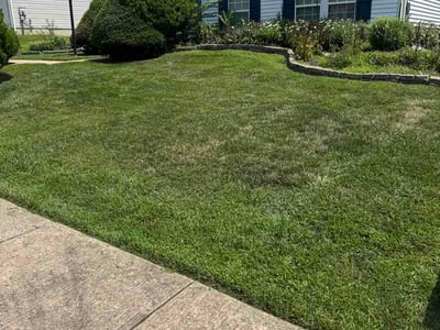 Lawn Care service in Newark, 19713