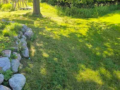 Lawn Care service in Brookfield, 53005
