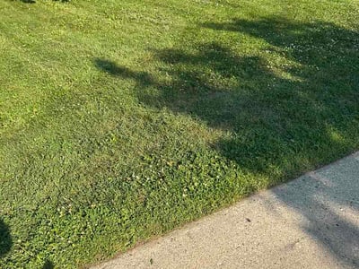 Lawn Care service in Hartford, 53027