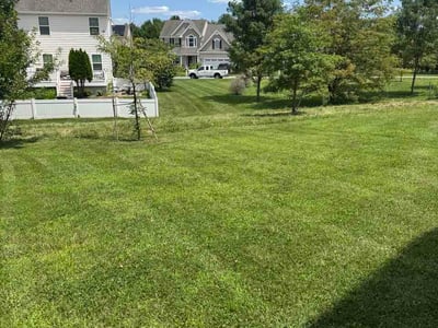 Lawn Care service in Middletown, 19709
